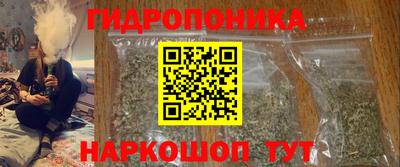 МДПВ Бийск